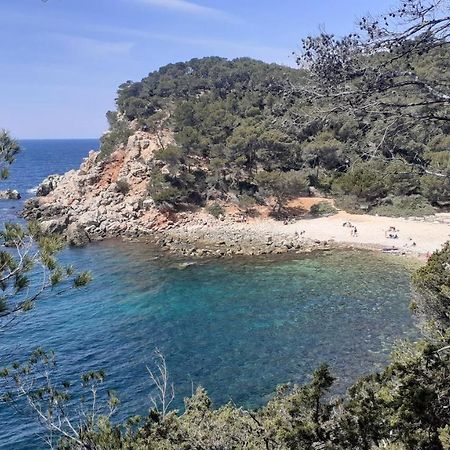 Bandol Maison De Campagne Kültér fotó